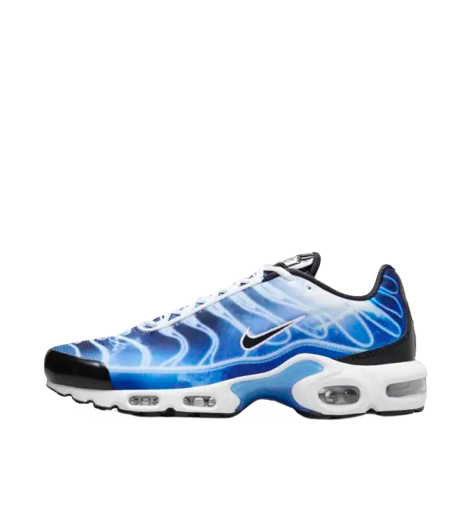 Nike Air Max Plus OG