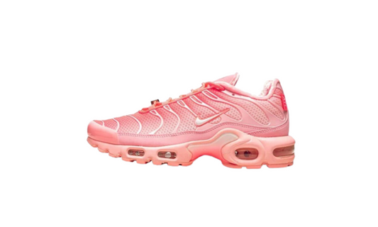 Nike Air Max Plus Atlanta