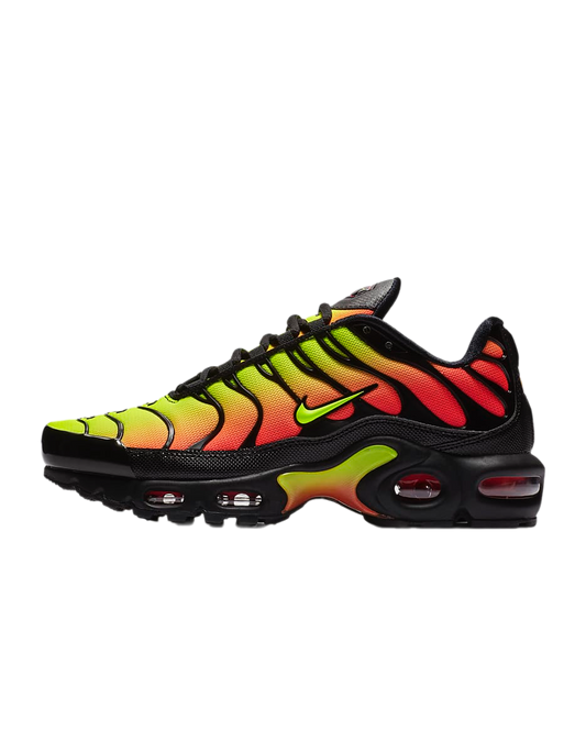 Nike Air Max Plus TN SE