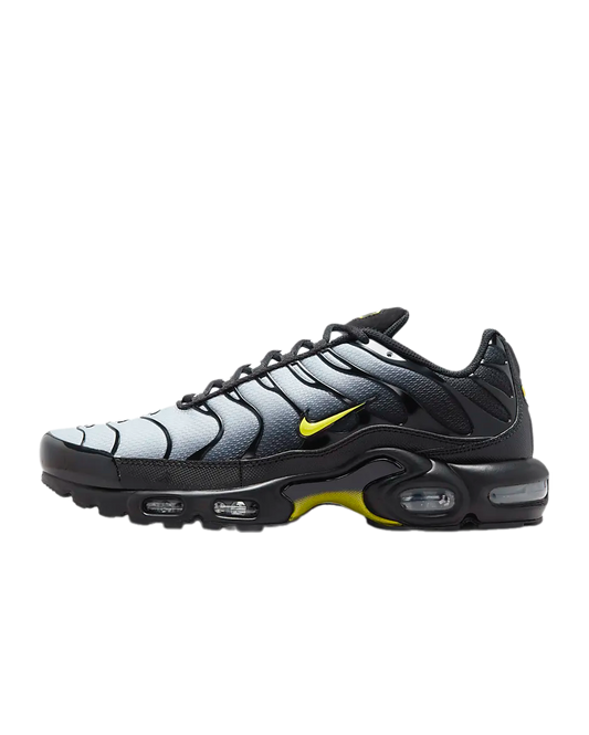 Nike Air Max Plus