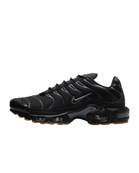 Nike Air Max Plus